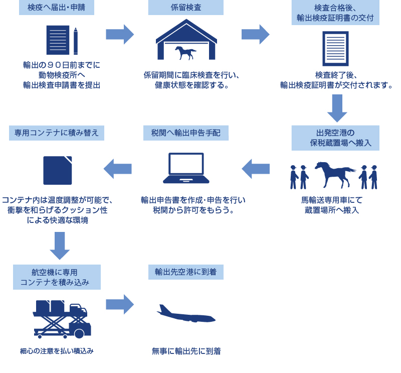 輸入馬の取り扱い