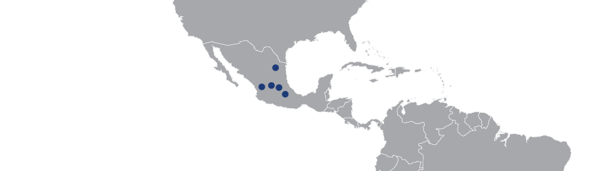 メキシコ