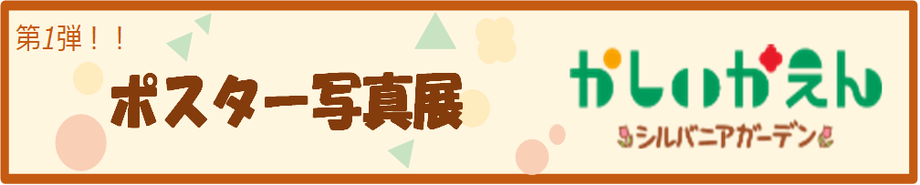 ポスター写真展